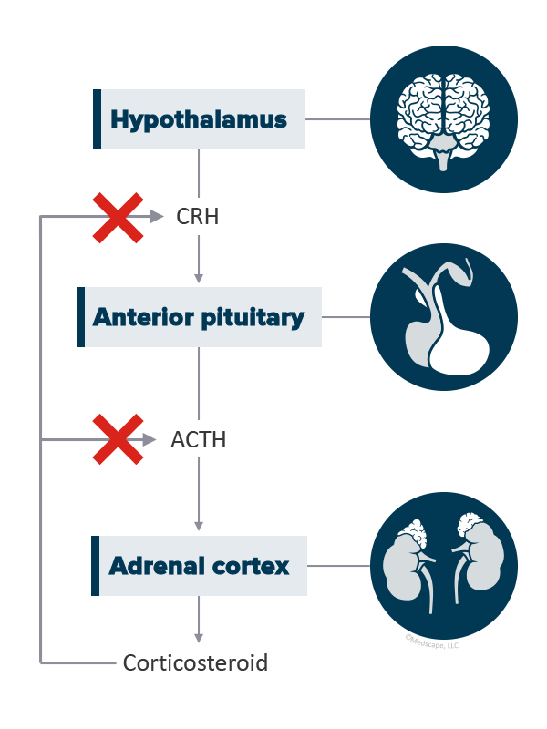 Managing Endocrine Conditions In The Modern Treatment Era