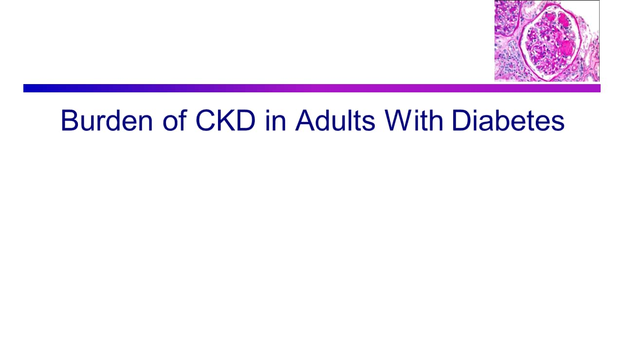 Expert Insights for Primary Care Physicians in Managing Chronic Kidney  Disease in T2DM