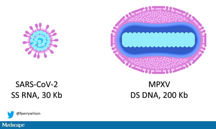COVID vs Monkeypox: A Tale of Two Pandemics