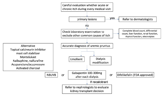 Improving Quality of Life in Patients With Chronic Kidney Disease on ...