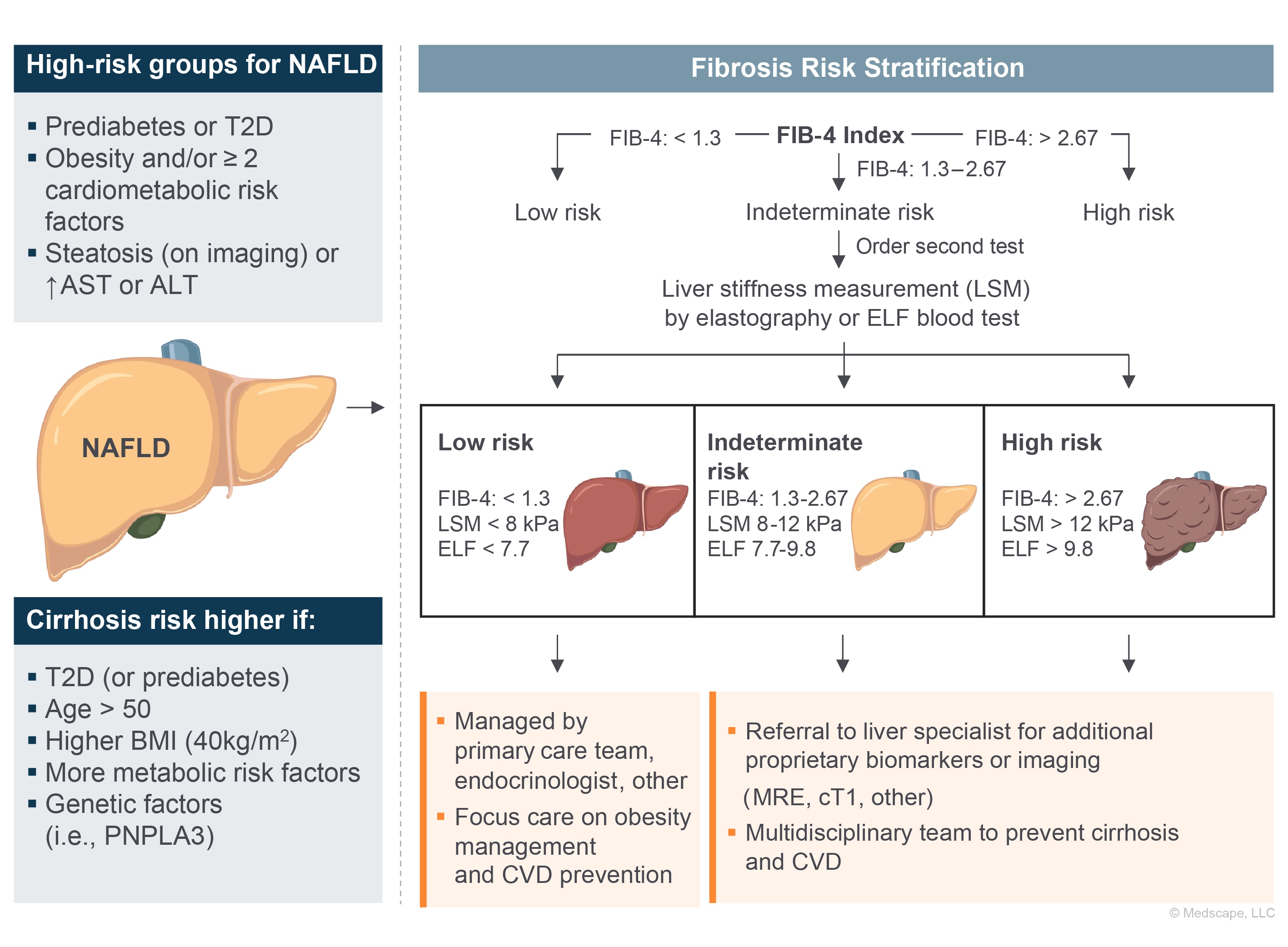 Targeting Nonalcoholic Steatohepatitis: An Update on Emerging Treatments