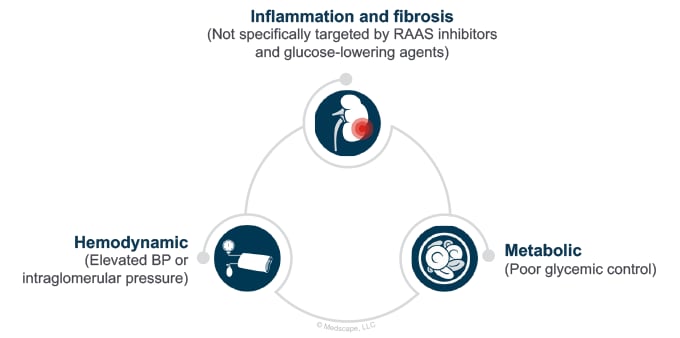 Real-Life Cases of Patients With Type 2 Diabetes and Chronic Kidney