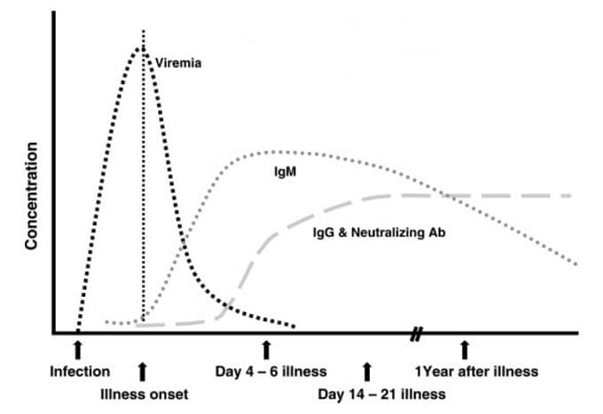 Diagnosis and Management of West Nile Virus Infection: A Case-Based ...