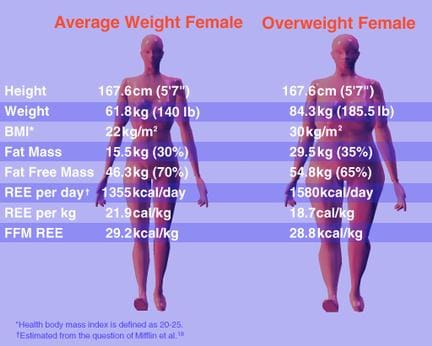 Female bmi 21 BMI Percentile