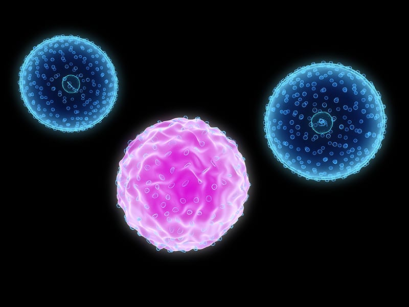 Mantelzell-Lymphom: Was bringt adjuvantes Cytarabin?