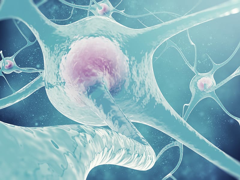 VitaminB12Mangel unter Metformin Wie man damit umgeht