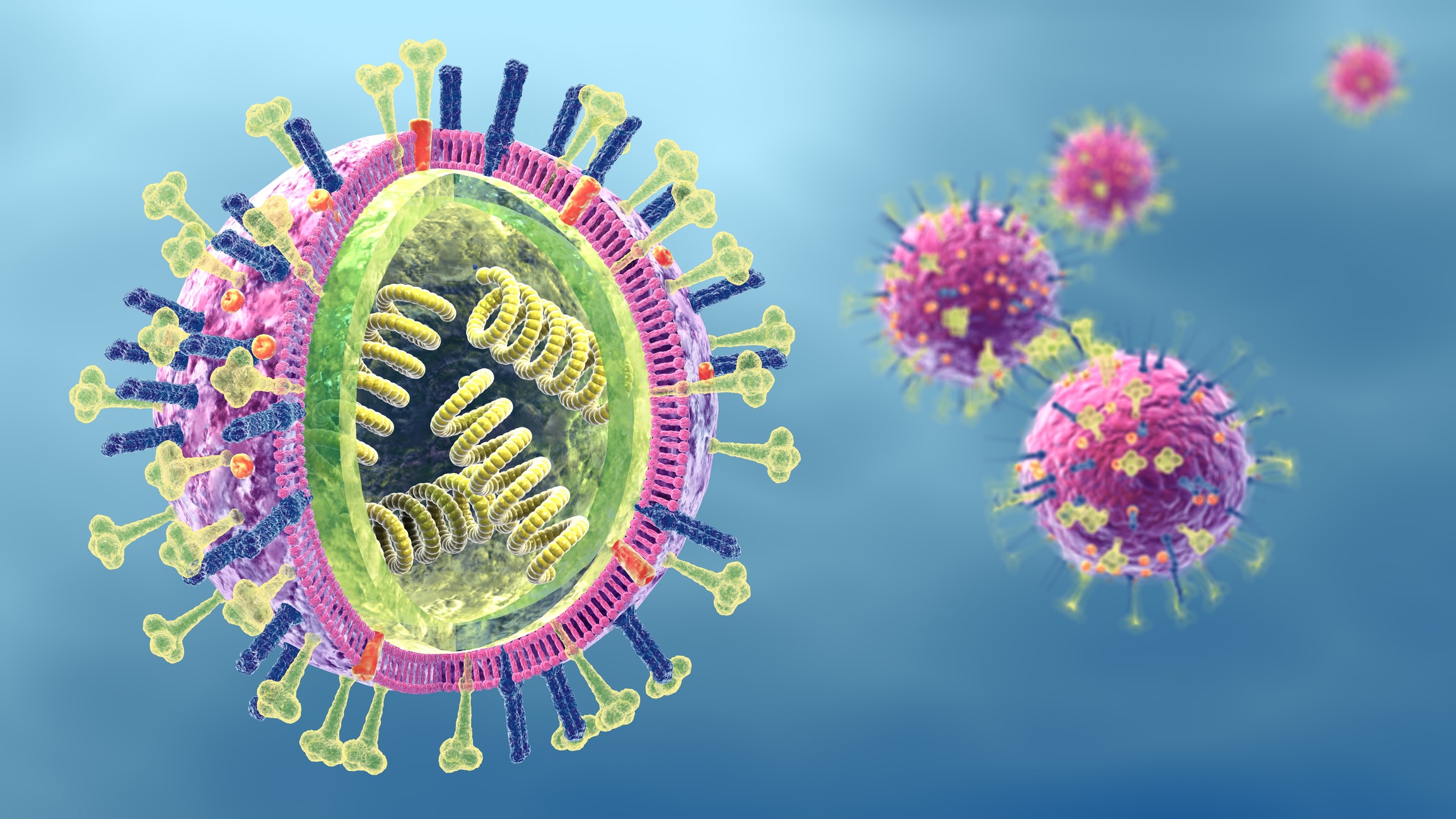 Рнк вирус гриппа а. H6n1 вирус гриппа. Вирус influenza. Строение вируса. Макет вируса гриппа.