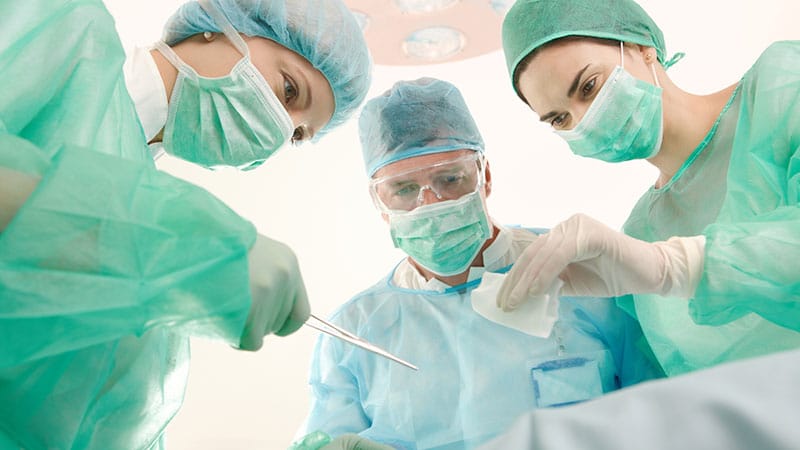 Xenotransplantation: Affen erhalten  Schweinenieren