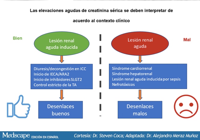 Lesión renal aguda: lo que tu nefrólogo no ha contado