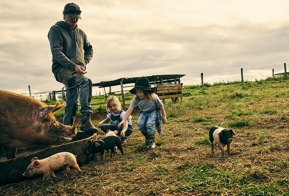 Enfermedades Vinculadas Al Contacto Con Mascotas Y Animales De Granja