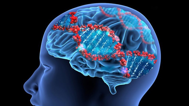 Descubrimiento De Gen De La Esquizofrenia Para Avances En Investigación