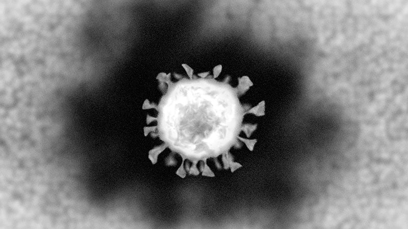 El periodo más corto conocido de reinfección por SARS-CoV-2