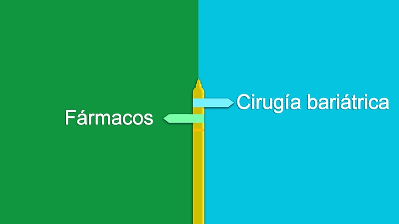 Nuevos f rmacos antiobesidad frente a cirug a bari trica