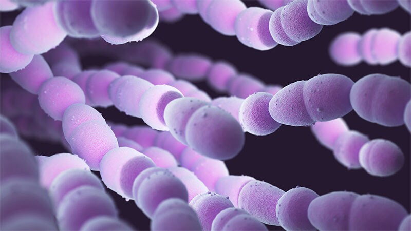 Japón alerta ante aumento de casos de síndrome de choque tóxico  estreptocócico