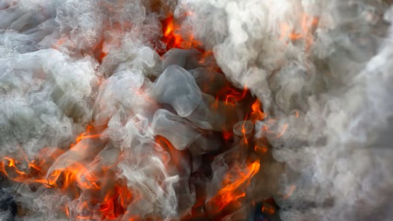Mini-examen clínico: Efectos de la contaminación del aire en la salud – Medscape