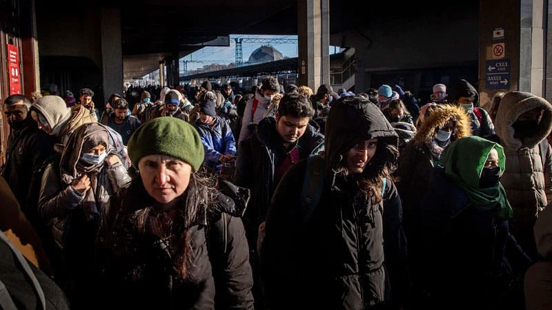 Multitudes, escasez y heridas de guerra son una 