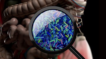 https://img.medscapestatic.com/es/thumbnail_library/is_220228_gut_bacteria_microbiome_800x450.jpg?interpolation=lanczos-none&resize=360:*
