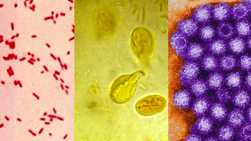 Aguas con la diarrea infecciosa