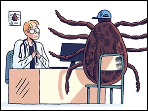 Lyme : des nouvelles recommandations mais pas la fin des polémiques…