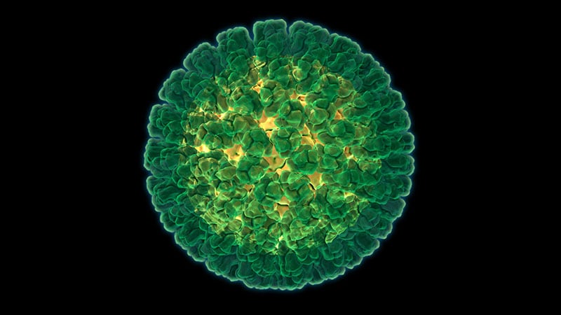 L'épidémie du coronavirus 2019-nCoV. 3605409-thumb