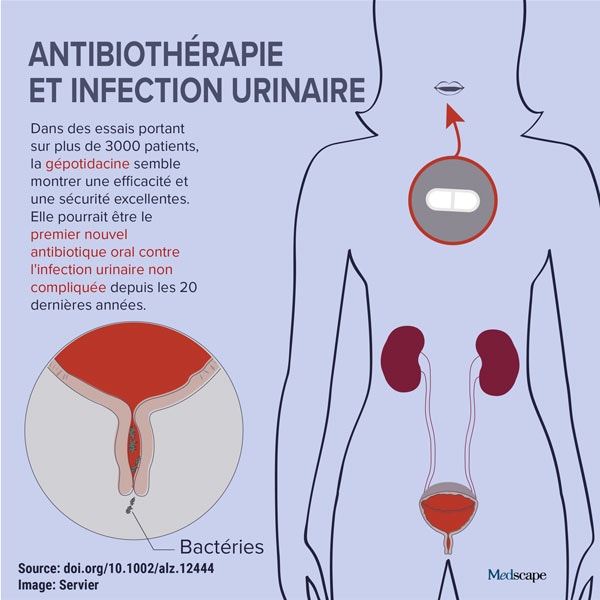 Dans Lactu Antibioth Rapie Et Infection Urinaire