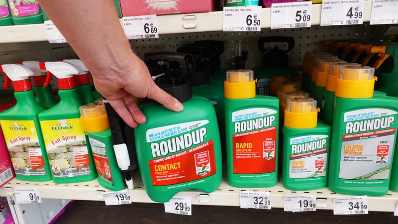Procès Grataloup contre le glyphosate : Bayer nie toute responsabilité