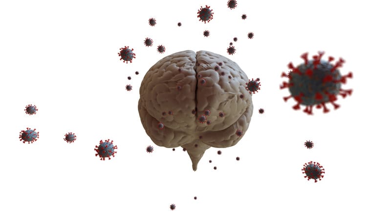 COVID long : le SARS-CoV-2 persiste dans le cerveau jusqu’à 80 jours ...