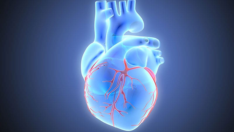 Insuffisance cardiaque : le parcours de soins complètement repensé