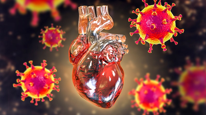 Coronavirus can spread and survive for months in the heart and brain