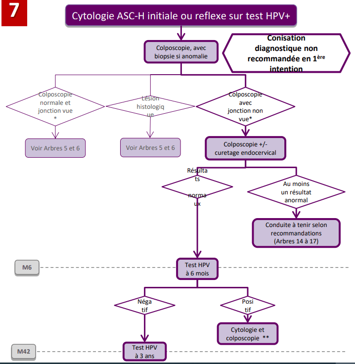 Nouvelles recommandations pour les femmes ayant un test HPV+