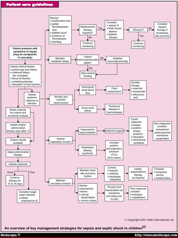 Sepsis And Septic Shock