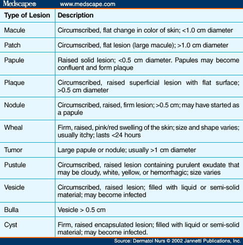 Skin Lesion Chart