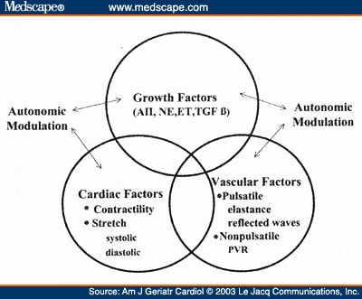 Cardiovascular Physiology- Changes With Aging - Page 3