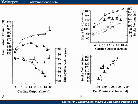 Cardiovascular Physiology Changes With Aging