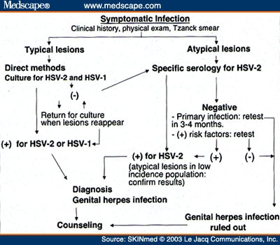 Genital Herpes Infection Beyond A Clinical Diagnosis