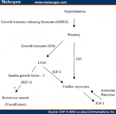 Growth Hormone Therapy in Heart Failure: Where Are We Now? - Page 2