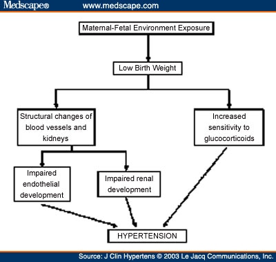 https://img.medscapestatic.com/fullsize/migrated/452/255/jch452255.fig3.jpg