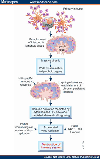 HIV and AIDS: 20 years of science