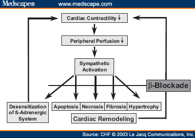 is metoprolol a beta 2 blocker