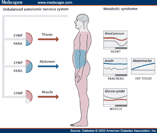 Autonomic Unbalance And The Metabolic Syndrome - Page 5