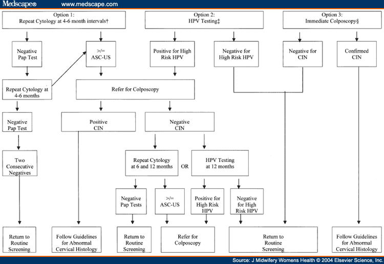 human papillomavirus medscape