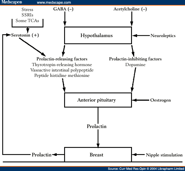 Hyperprolactinaemia and Antipsychotic Therapy in Schizophrenia