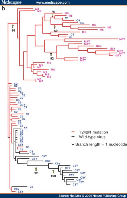 HIV Evolution: CTL Escape Mutation and Reversion After