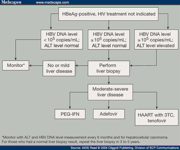 Management Of Chronic Hepatitis B In The HIV-Infected Patient