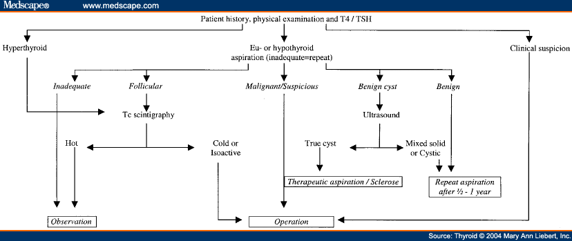 Thyroid Flow Chart