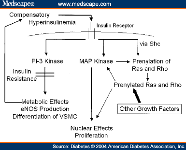 Molecular Mechanisms of Insulin Resistance That Impact Cardiovas - Page 5