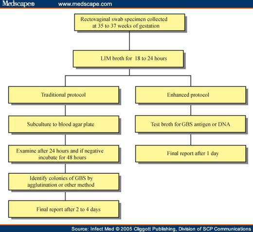 Optimizing The Rapid And Accurate Detection Of Group B Strep