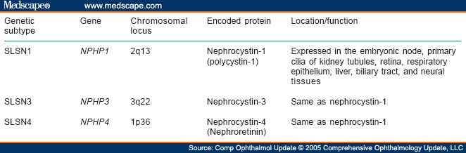 The Genetics Of Hereditary Retinopathies And Optic Neuropathies