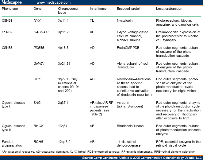 The Genetics Of Hereditary Retinopathies And Optic Neuropathies - Page 3