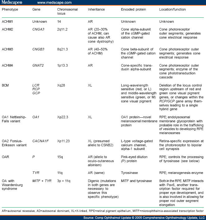 The Genetics Of Hereditary Retinopathies And Optic Neuropathies - Page 5